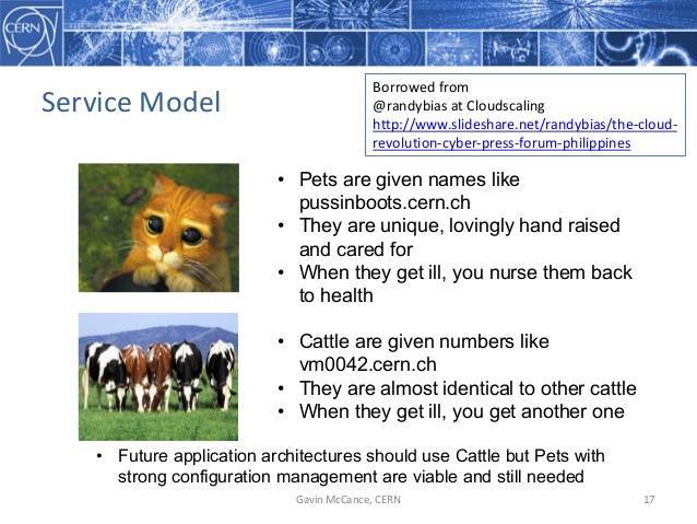 pets-vs-cattle.jpg