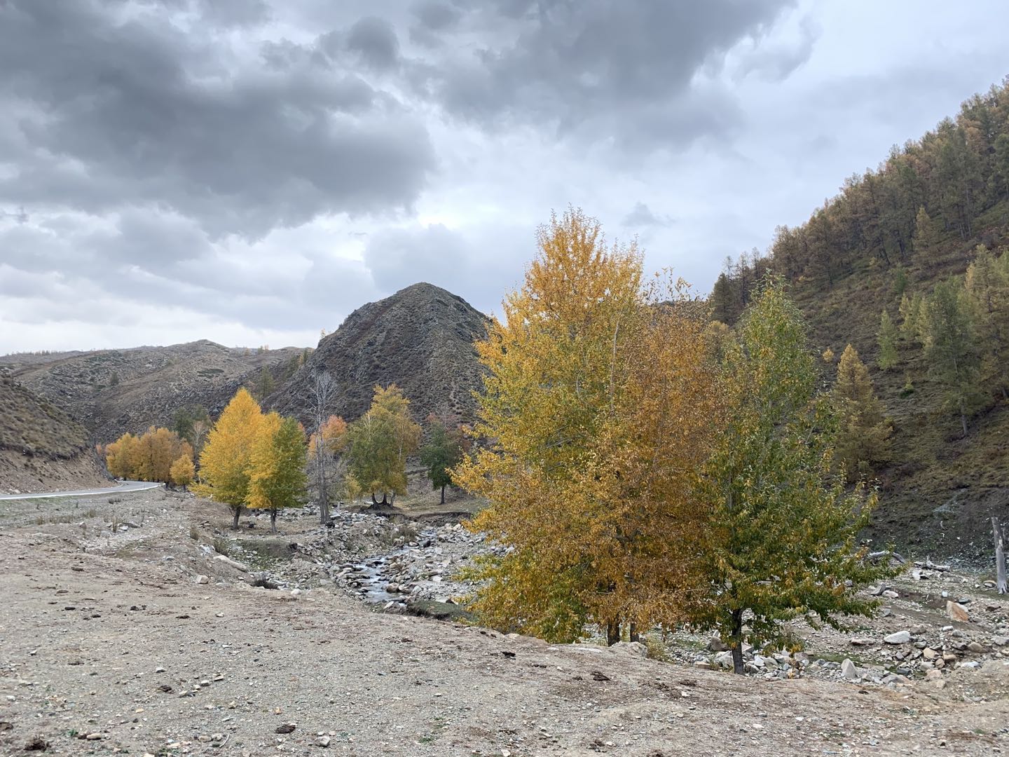 xinjiang-2019-5.jpg