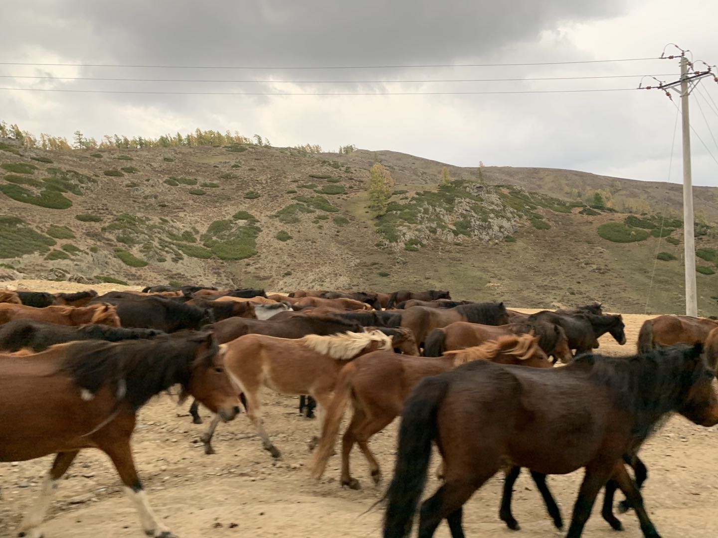 xinjiang-2019-6.jpg