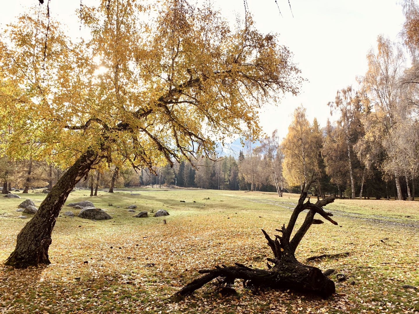 xinjiang-2019-9.jpg